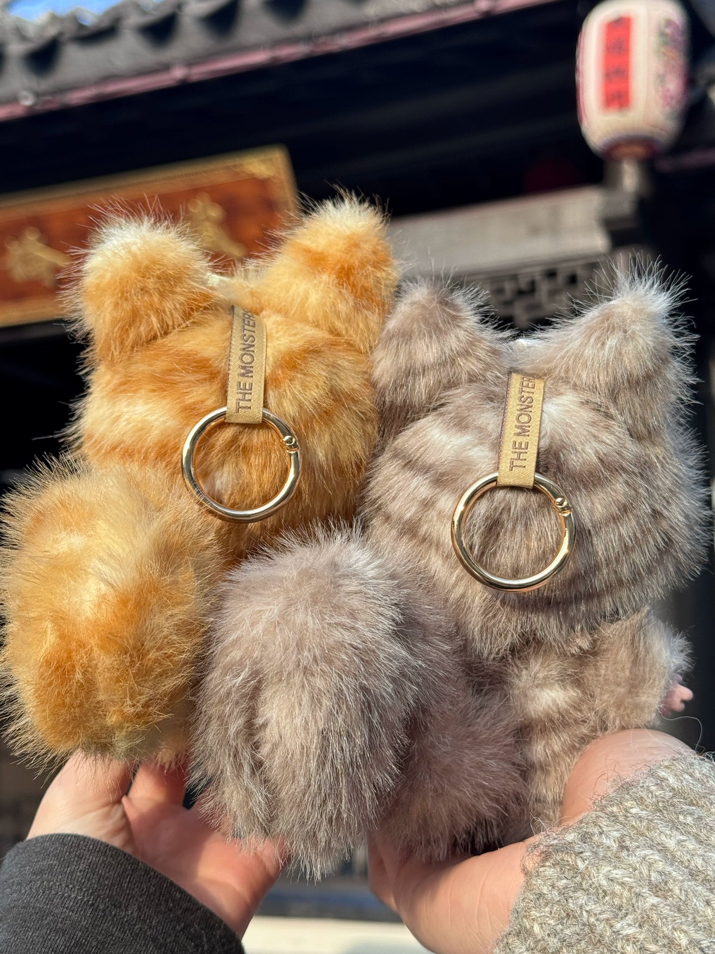 Original handsome gray tabby LABUBU genuine macaron change baby, girl gift